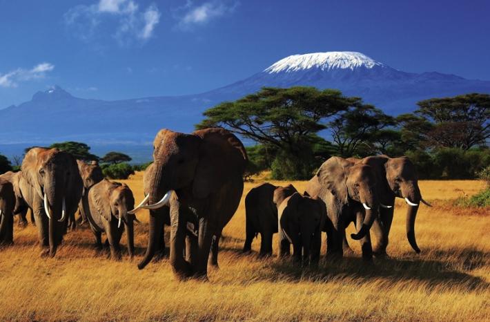 kenya