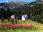 По пути в Алтай